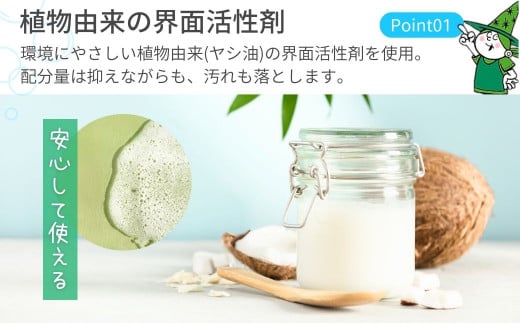 洗濯洗剤 緑の魔女ランドリーパウダー 2kg (1kg×2個) ふるさと納税限定 | 洗濯 洗剤 粉末 粉末洗剤 洗濯粉末洗剤 粉末洗濯洗剤 パウダー 環境配慮 環境にやさしい エコ やさしい 衣類 衣類用 衣類用洗剤 汚れ よごれ 油汚れ 皮脂 皮脂汚れ 大容量 パイプ パイプクリーナー 匂い におい 植物由来 除菌 防臭 エコ お中元 お歳暮 ギフト 大掃除 洗浄力 茨城県 龍ケ崎市