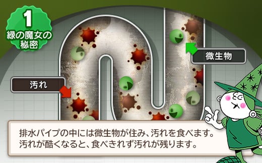 緑の魔女 泡タイプバス 400ml(詰め替え用)×24本セット | 洗剤 液体 環境配慮 バス用 浴槽 湯あか 大容量 1万件以上の口コミ 世界中で愛される ヌメリ 皮脂汚れ 中性タイプ 日常品 お風呂洗剤 バス用洗剤 大容量 業務用 口コミ人気 人気 湯あか 防カビ 中性 手にやさしい 茨城県 龍ケ崎市