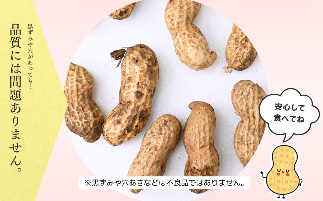 龍ケ崎産殻付き落花生 ナカテユタカ 900g(180g×5袋) | 落花生 ピーナッツ ピーナツ ナッツ 国産 殻付き おやつ お菓子 おつまみ お取り寄せ ヘルシー 健康 国産 茨城 特産品 農園 自家栽培 ビールのお供 野菜 豆 農家直送 お土産 贈り物 ギフト プチギフト 茨城県 龍ケ崎市