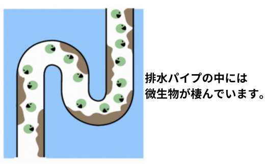 迷ったらこれ　ふるさと納税専門誌掲載品　洗濯洗剤+パイプクリーナー機能持つ緑の魔女ランドリー5L×3【洗剤 液体 環境配慮 洗濯 1万件以上の口コミ 世界中で愛される 洗濯洗剤 洗濯用洗剤 衣類洗剤 日常品 贈答品 ギフト プレゼント】