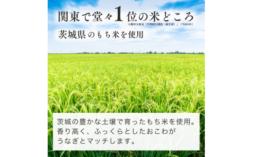 国産 うなぎ 人気うなぎ料理店のオリジナル「うなぎちまき」 5個 | うなぎ ウナギ 鰻 蒲焼 かばやき かば焼き タレ 国産 本格 グルメ 冷凍 電子レンジ 簡単 ごはん もち米 おこわ ちまき 手軽 茨城県 龍ケ崎市