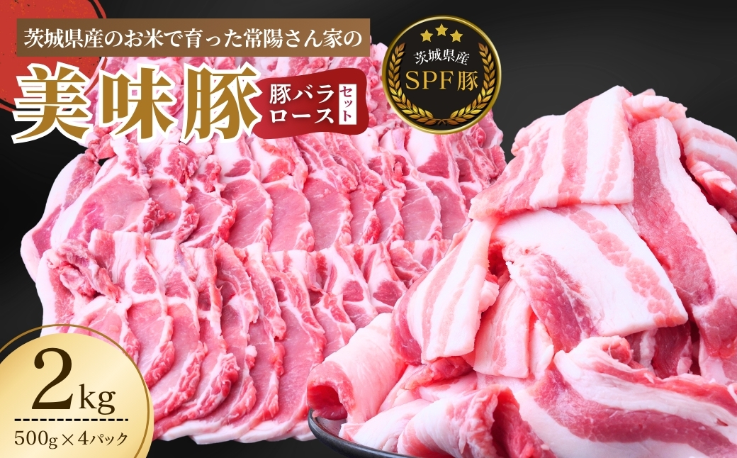 茨城県産のお米を食べて育った常陽さん家の美味豚(SPF豚)ロース＆バラ肉セット 焼肉用 2kg  | 国産 ロース ロース肉 豚ロース 豚バラ バラ 豚バラ肉 豚 SPF SPF豚 豚肉 焼肉 セット バーベキュー しゃぶしゃぶ 肉 にく 肉類 ポーク こだわり やわらか お米育ち 安心 安全 人気 お取り寄せグルメ お取り寄せ グルメ おすすめ 茨城県 龍ケ崎市