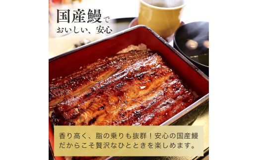 国産 うなぎ 人気うなぎ料理店のオリジナル「うなぎちまき」 5個 | うなぎ ウナギ 鰻 蒲焼 かばやき かば焼き タレ 国産 本格 グルメ 冷凍 電子レンジ 簡単 ごはん もち米 おこわ ちまき 手軽 茨城県 龍ケ崎市