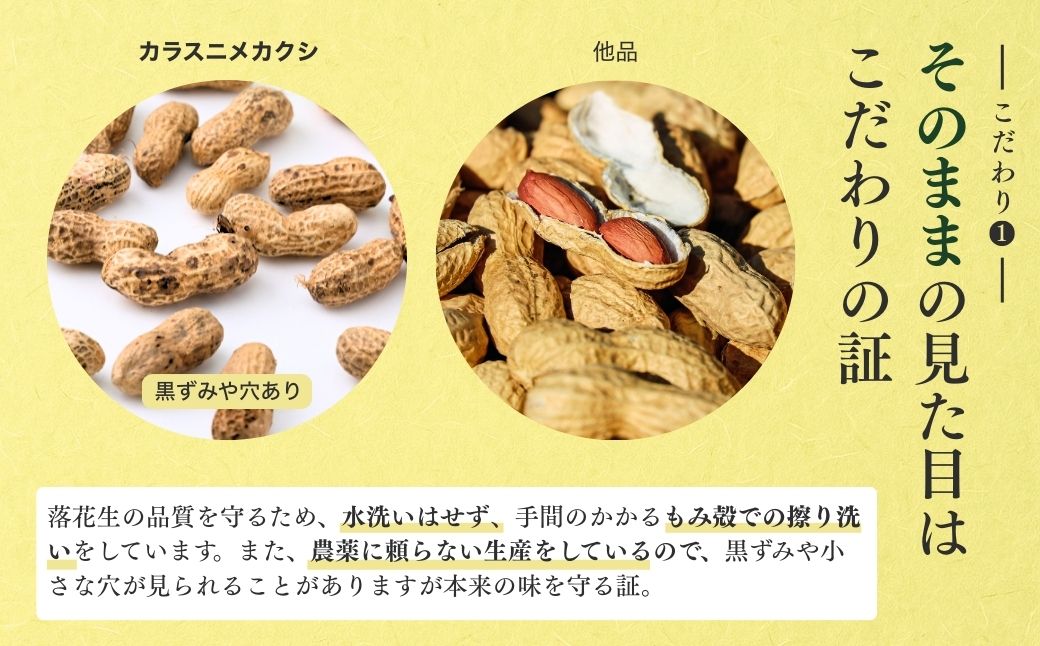 龍ケ崎産殻付き落花生 ナカテユタカ 900g(180g×5袋) | 落花生 ピーナッツ ピーナツ ナッツ 国産 殻付き おやつ お菓子 おつまみ お取り寄せ ヘルシー 健康 国産 茨城 特産品 農園 自家栽培 ビールのお供 野菜 豆 農家直送 お土産 贈り物 ギフト プチギフト 茨城県 龍ケ崎市