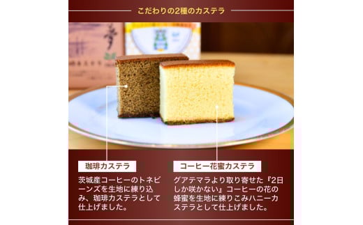 ジャパンバリスタチャンピオンシップ優勝者のいる珈琲専門店の自家焙煎コーヒー（DP）とカステラのセット【龍ケ崎市×つくば市×牛久市×利根町 共通返礼品】 | カステラ かすてら お菓子 おやつ スイーツ 和菓子 和スイーツ デザート スぺシャルティコーヒー コーヒー ドリップコーヒー 常温 贈答 ギフト 贈り物 プレゼント 焼菓子 焼き菓子 茨城県 龍ケ崎市