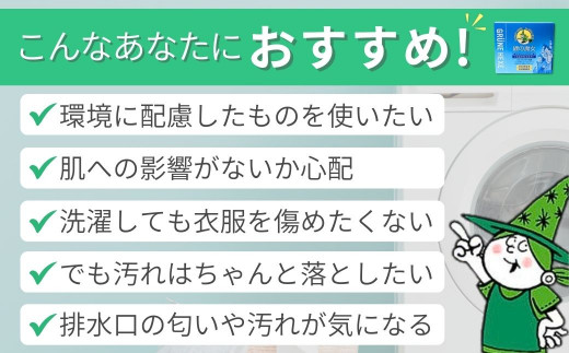 洗濯洗剤 緑の魔女ランドリーパウダー 2kg (1kg×2個) ふるさと納税限定 | 洗濯 洗剤 粉末 粉末洗剤 洗濯粉末洗剤 粉末洗濯洗剤 パウダー 環境配慮 環境にやさしい エコ やさしい 衣類 衣類用 衣類用洗剤 汚れ よごれ 油汚れ 皮脂 皮脂汚れ 大容量 パイプ パイプクリーナー 匂い におい 植物由来 除菌 防臭 エコ お中元 お歳暮 ギフト 大掃除 洗浄力 茨城県 龍ケ崎市