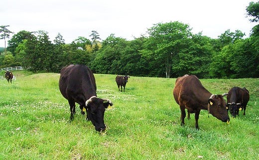 ＜茨城県産常陸牛三昧＞食べ比べセット(茨城県共通返礼品)[ステーキ用：霜降り牛ロース1枚、すきやき・しゃぶしゃぶ用：牛肩ロース400g、切り落とし：牛肩ロース150g]【国産 黒毛和牛 ステーキ すき焼き しゃぶしゃぶ 切り落とし 肉 にく ミート 肩ロース ブランド牛 A4〜A5ランク 牛肉 和牛 贅沢 人気 お取り寄せグルメ お取り寄せ グルメ おかず おすすめ】