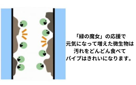 迷ったらこれ　ふるさと納税専門誌掲載品　洗濯洗剤+パイプクリーナー機能持つ緑の魔女ランドリー5L×3【洗剤 液体 環境配慮 洗濯 1万件以上の口コミ 世界中で愛される 洗濯洗剤 洗濯用洗剤 衣類洗剤 日常品 贈答品 ギフト プレゼント】