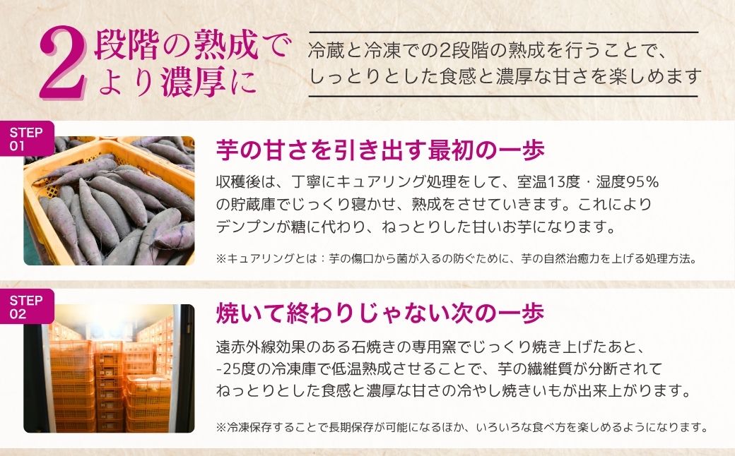 カップで食べる濃厚石焼き芋 6個 (合計750g) | 冷凍焼き芋 スイーツ ダイエット 小分け ギフト プレゼント 国産 無添加 茨城県産 さつまいも サツマイモ お芋 いも おやつ 干し芋 石焼き芋 紅はるか シルクスイート 紅はるか ねっとり 甘い 完熟 熟成 冷凍 冷やし焼き芋