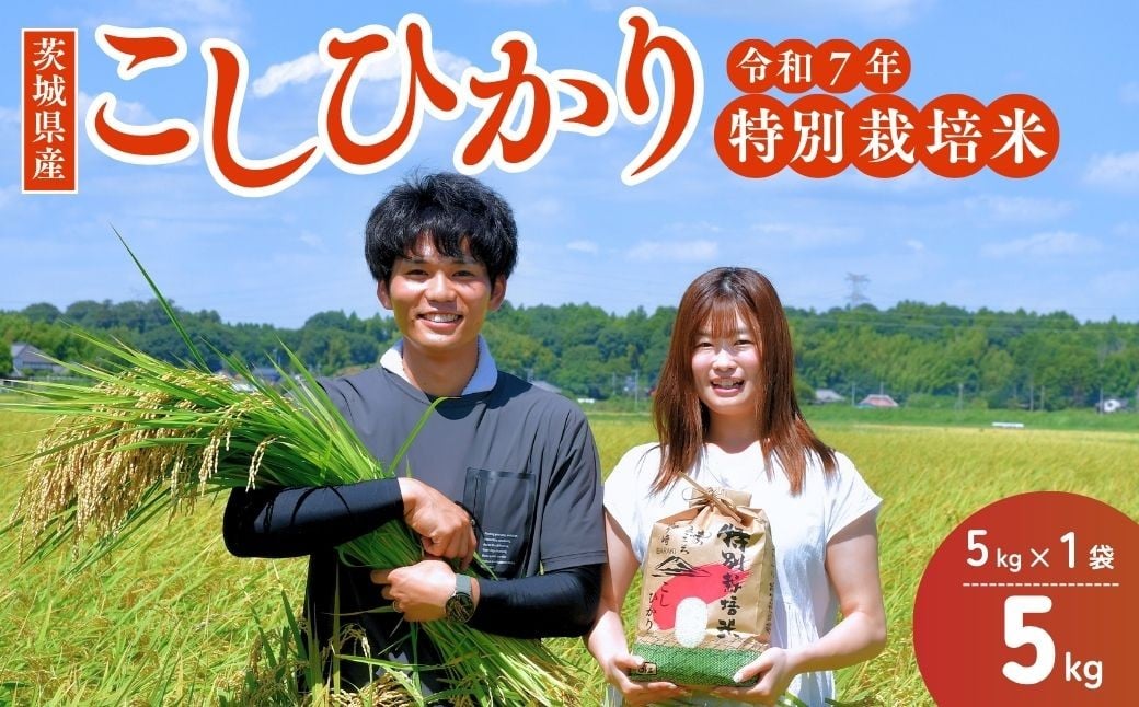 【令和7年度新米】龍ケ崎の特別栽培米 コシヒカリ 5kg(5kg×1袋) | こしひかり お米 米 こめ 白米 精米 新米 特別栽培米 冷めてもおいしい 美味しい こだわり おにぎり 茨城県 龍ケ崎市産