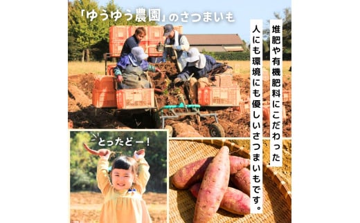 【簡易包装】紅はるかの干し芋 スティックタイプ 800g | スイーツ プレゼント 国産 無添加 茨城県産 さつまいも サツマイモ お芋 おやつ お菓子 和菓子 和スイーツ 無添加 ほし芋 自然食品 訳あり シロタ 平干し 大容量 ポテト 茨城県 龍ケ崎市