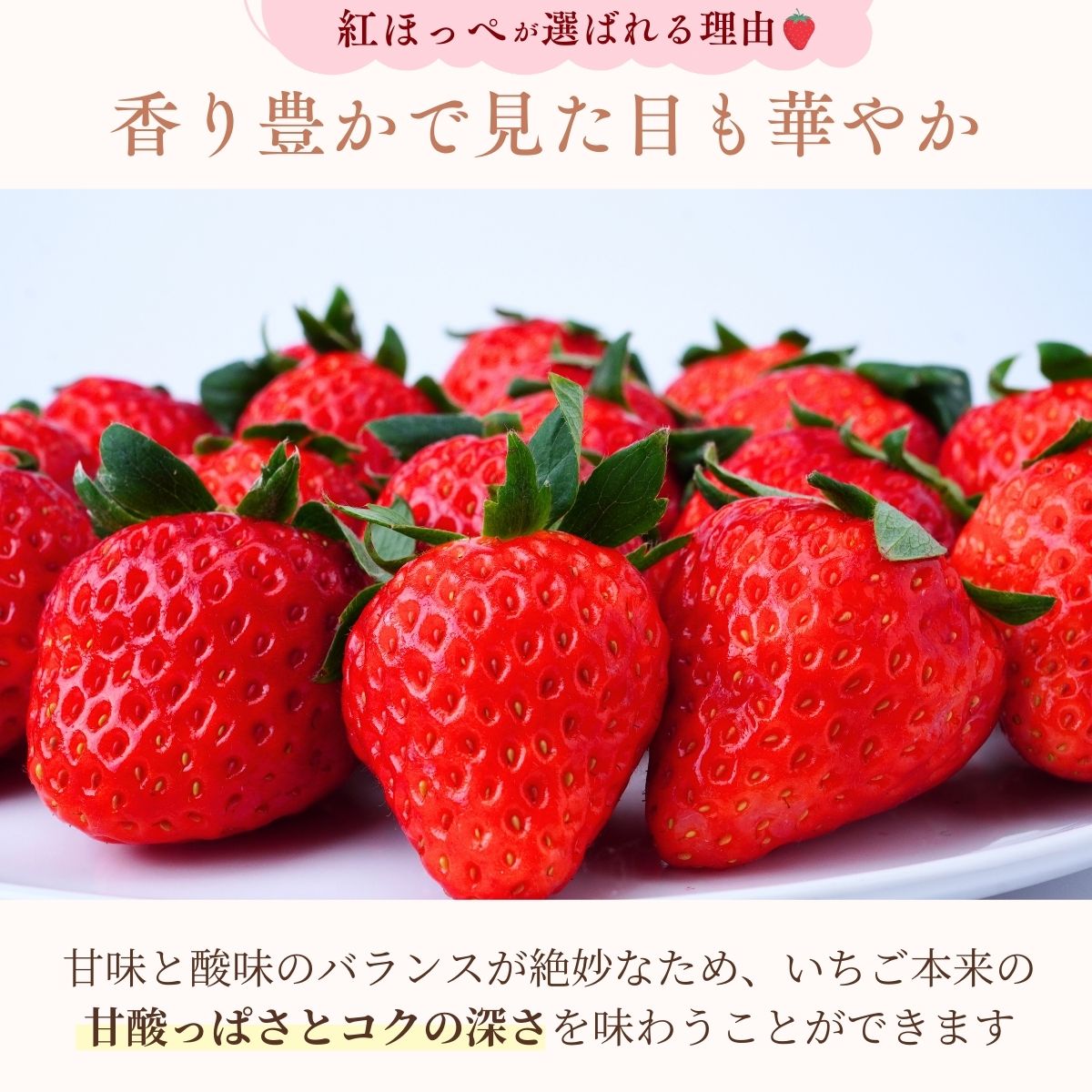 【1月下旬発送】甘熟いちごの紅ほっぺ 2kg (250g×8パック) | いちご 苺 イチゴ 紅ほっぺ べにほっぺ 甘い 完熟 完熟いちご 濃厚 果物 フルーツ おやつ デザート ストロベリー パフェ いちご大福 ショートケーキ いちごサンド フルーツサンド ジュース スムージー ショートケーキ ヨーグルト ギフト 贈答 贈り物 新鮮 期間限定 季節限定 茨城県 龍ケ崎市