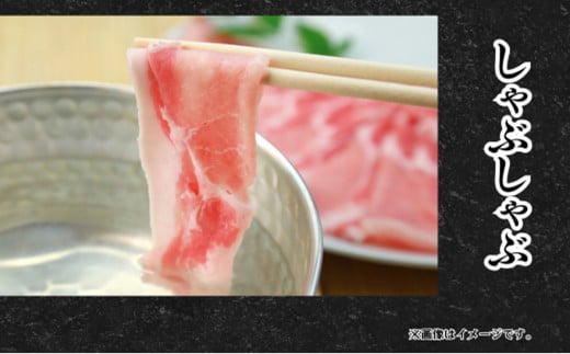 国産豚肉バラスライス ズドーンと 4kg (250g×16パック/小分け真空包装) 【下妻工場直送】【 豚肉 バラスライス パック 小分け 便利 国産 料理 ポーク ぶたにく 国産豚 人気 ランキング マルリン 】