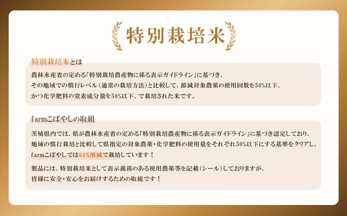 【 2月出荷 】令和7年産 茨城県産 特別栽培米・ミルキークイーン 5kg ( 真空パック )【 令和7年 5kg 真空パック ミルキークイーン 米 お米 白米 人気 おすすめ もちもち 特別栽培米 】