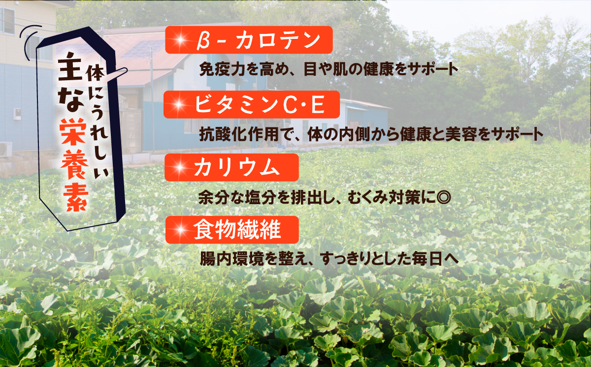 縺九⊂縺。繧 縺上j螟ァ蟆 邏10kg