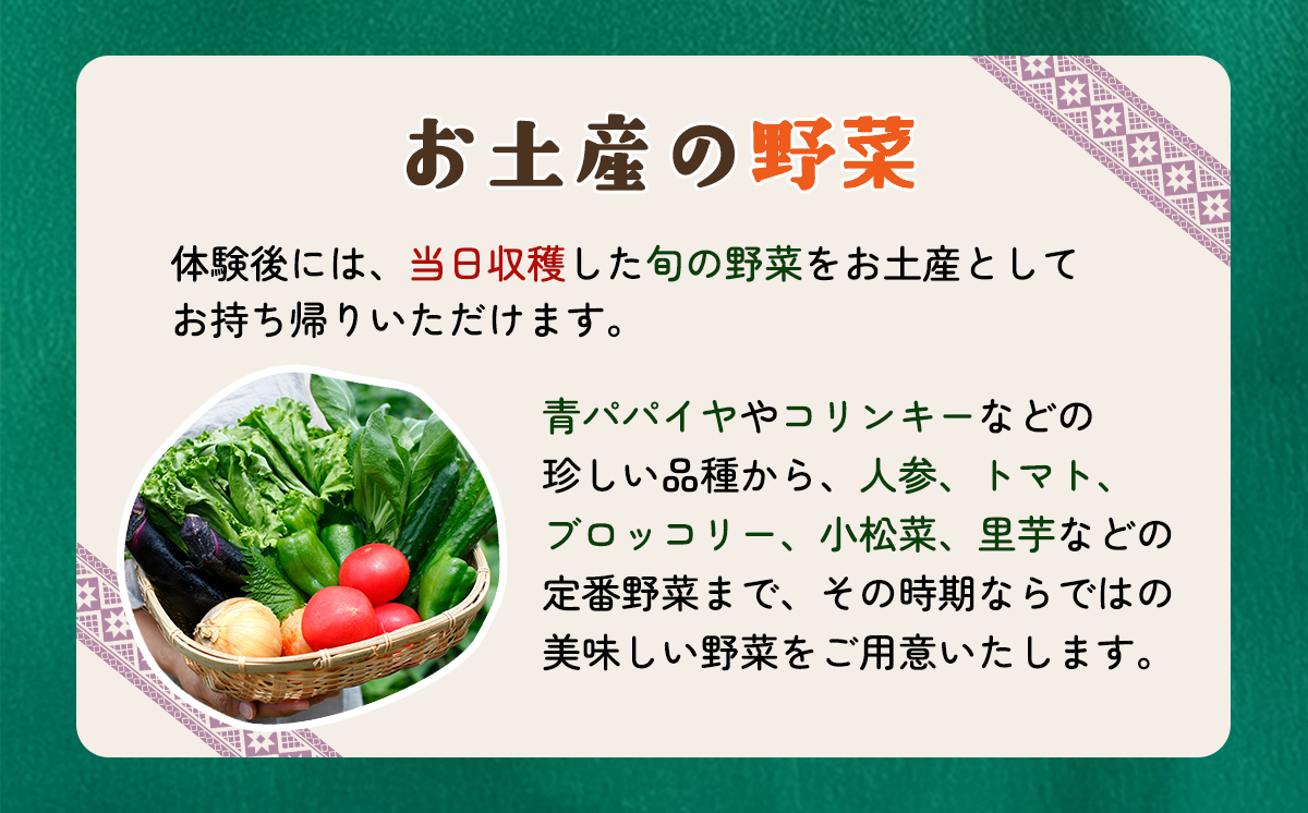 収穫体験チケット（2時間／4名）+お土産野菜付き（野菜持ち帰り）【 農業体験 収穫体験 食育 体験 野菜 農作業 家族 親子 畑 お土産 】
