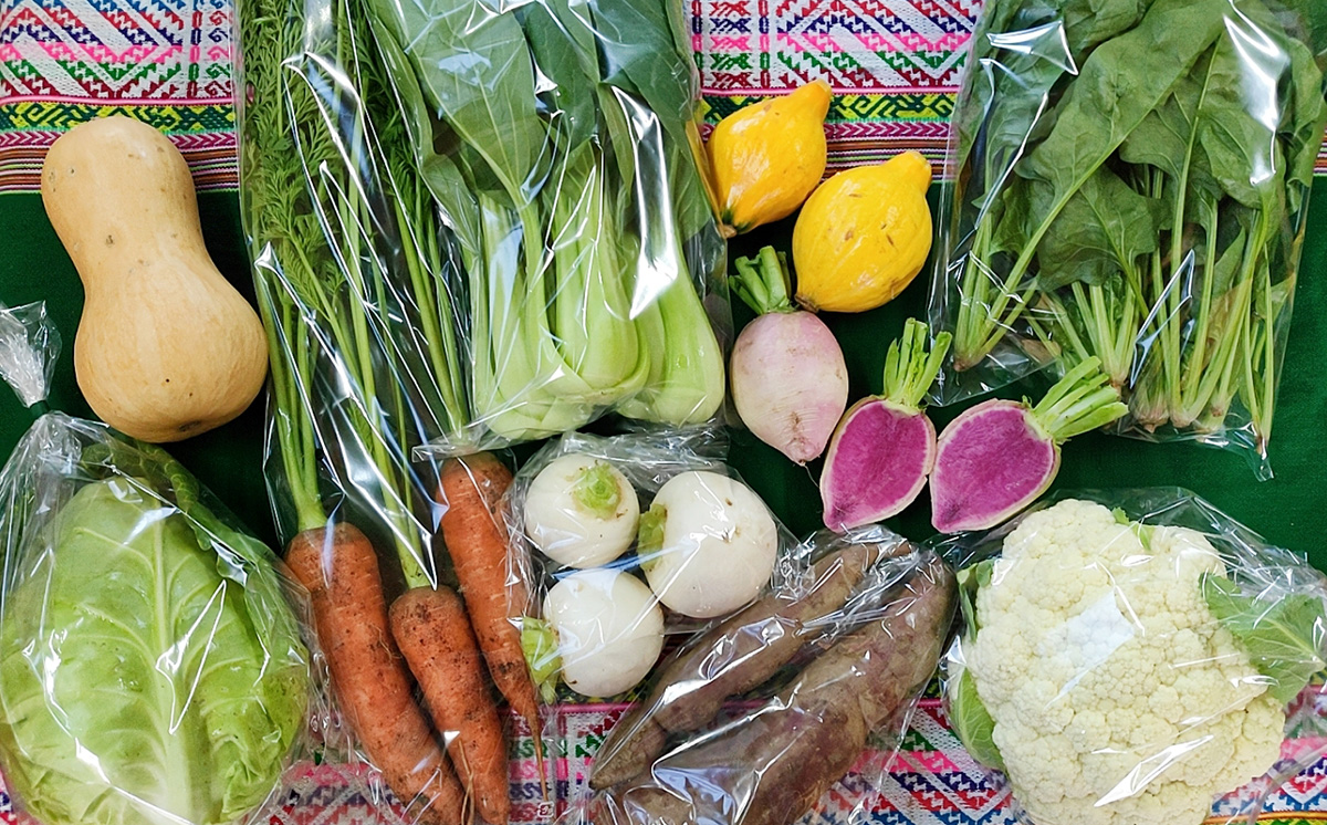 【 訳あり 】【 6ヶ月連続お届け 】 お楽しみ野菜セット （ 9袋 ）【 フードロス対策 】【 野菜 詰め合わせ お任せ 訳あり フードロス 季節物 セット 山芋 パセリ かぶ 人参 里芋 たまねぎ 玉ねぎ ルッコラ ほうれん草 春菊 大根 芽キャベツ レタス じゃがいも さつまいも とうもろこし そら豆 枝豆 パクチー ビーツ ほうれん草 キャベツ ピーマン なすトマト かぼちゃ 】