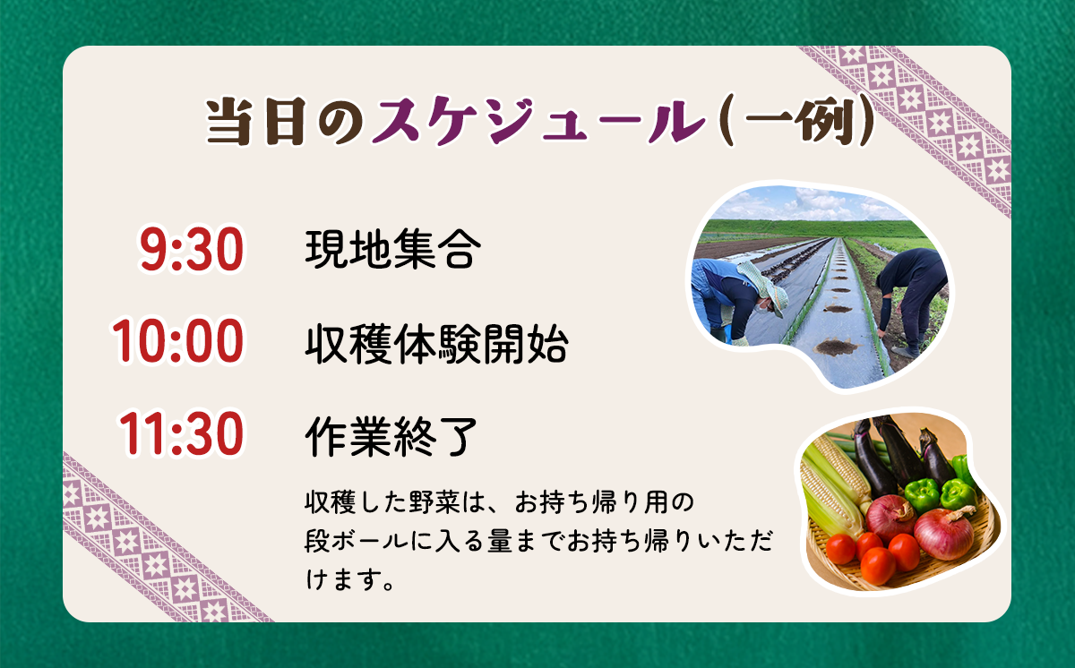 収穫体験チケット（2時間／4名）+お土産野菜付き（野菜持ち帰り）【 農業体験 収穫体験 食育 体験 野菜 農作業 家族 親子 畑 お土産 】