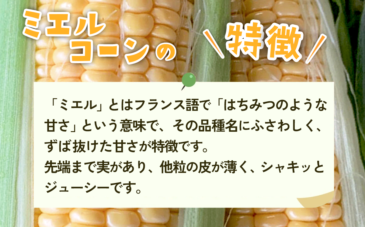 【先行予約】下妻産朝採りとうもろこし（ミエルコーン）約6kg【 とうもろこし とうきび トウモロコシ ジューシー 甘い 蜂蜜 はちみつ ミエル Miel スイーツ デザート ミエルコーン 人気 野菜 新鮮 おすすめ スイートコーン 】