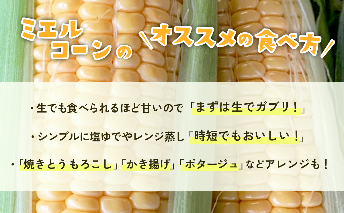 【先行予約】下妻産朝採りとうもろこし（ミエルコーン）約6kg【 とうもろこし とうきび トウモロコシ ジューシー 甘い 蜂蜜 はちみつ ミエル Miel スイーツ デザート ミエルコーン 人気 野菜 新鮮 おすすめ スイートコーン 】