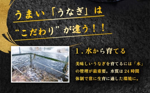 【1月発送】国産 うなぎ蒲焼 特上うなぎ1尾 270g以上 山椒付き 鰻 ウナギ たれ タレ たっぷり うな重 鰻重 ひつまぶし