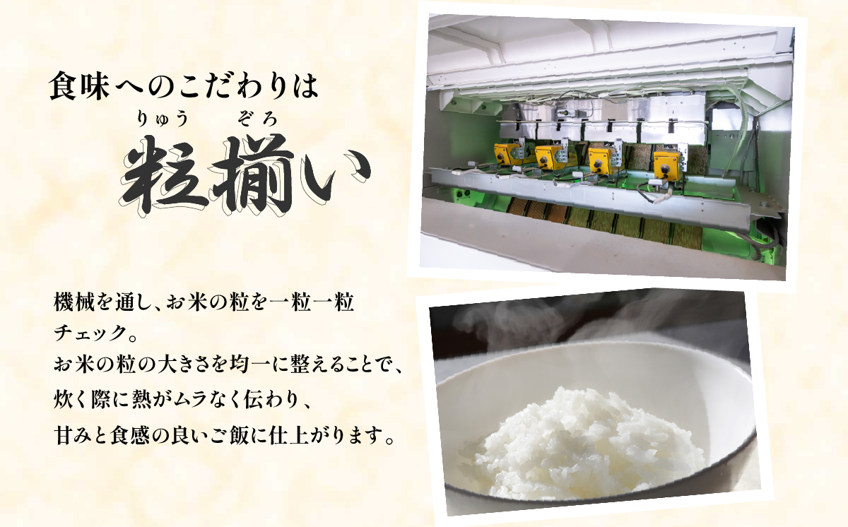 【最短7日発送】玄米 ミルキークイーン 5kg 茨城県下妻市産 【 お米 米 白米 ご飯 こめ ミルキークイーン 令和7年産 茨城県産 】