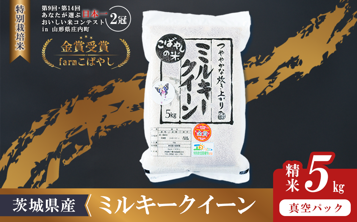 【 3月出荷 】令和7年産 茨城県産 特別栽培米・ミルキークイーン 5kg ( 真空パック )【 令和7年 5kg 真空パック ミルキークイーン 米 お米 白米 人気 おすすめ もちもち 特別栽培米 】