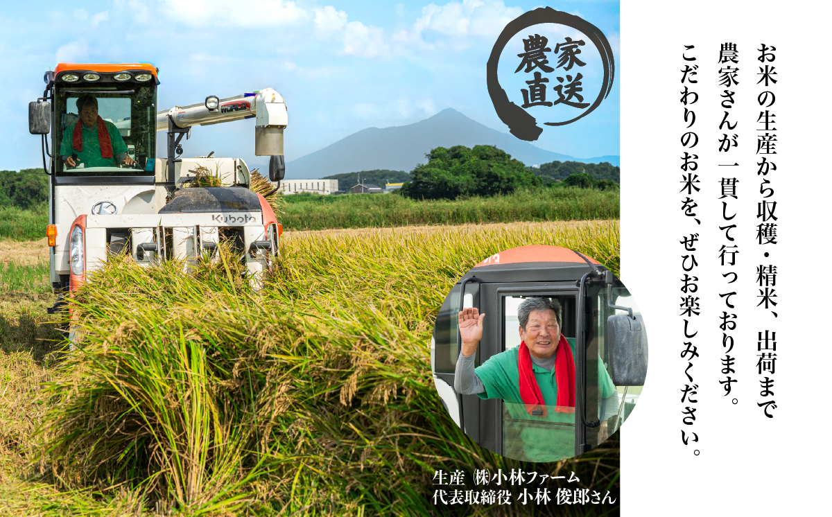 精米 にじのきらめき 10kg 茨城県下妻市産 【 米 お米 白米 ごはん こめ にじのきらめき 令和7年産 茨城県産 】