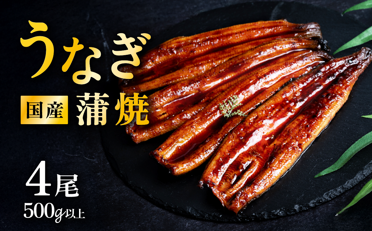 【1月発送】国産 うなぎ蒲焼 上うなぎ4尾 500g以上 山椒付き 鰻 ウナギ たれ タレ たっぷり うな重 鰻重 ひつまぶし
