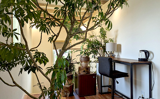 Sleeping Hotel VIPæ£ åæ¥ç¥æ¥å2åæ§ 1æ³2æ¥ å®¿æ³å€é£¯ä»ãã±ããã å¿«ç ãµãŠã äœéš 宿æ³åž åž ãã㫠宿 宿æ³åž 宿æ³ãã±ãã æ
è¡ ãªã©ã¯ãŒãŒã·ã§ã³ ã