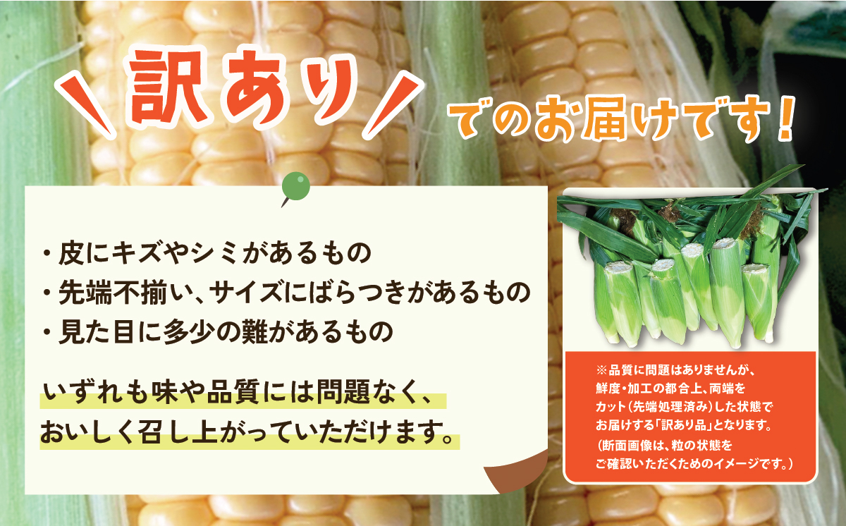 ãèš³ããããå
è¡äºçŽãäžåŠ»ç£ææ¡ããšãããããïŒããšã«ã³ãŒã³ïŒçŽ6kgã ãšããããã ãšããã³ ããŠã¢ãã³ã· ãžã¥ãŒã·ãŒ çã èè ã¯ã¡ã¿ã€ ããšã« Miel ã¹ã€ãŒã ãã¶ãŒã ããšã«ã³ãŒã³ äººæ° éè æ°é®® ãããã ã¹ã€ãŒãã³ãŒã³ ã