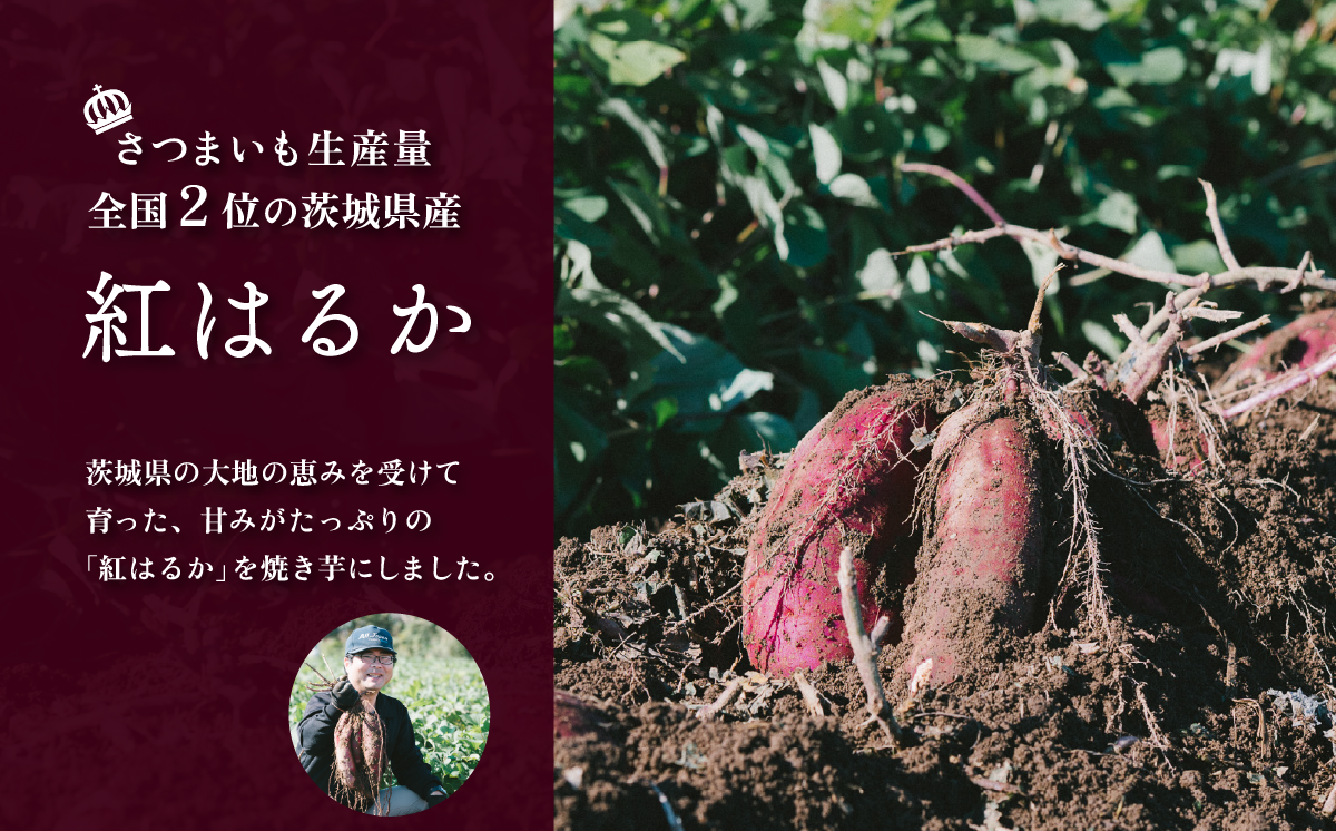 【訳あり】冷凍焼き芋　紅はるか1.5kg【 さつまいも さつま芋 サツマイモ 焼芋 やきいも スイーツ 甘味 わけあり 人気 おやつ スイートポテト 大学芋 大学いも 】