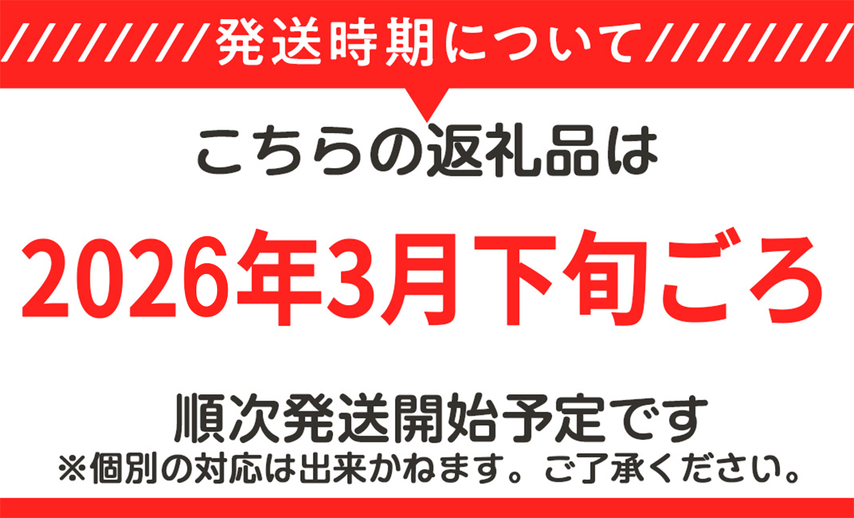 筑波サーキット 会員走行チケット 2輪 3枚セット【2026年4月～2027年3月末まで使用可能】【 レース コース ドライバー 運転 ライセンス 車 スポーツ ふるさと納税 体験 】