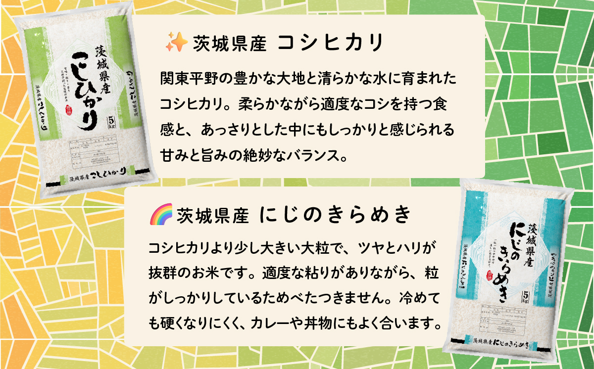 【3月発送】食べ比べ 20kg (5kg x 4袋) 令和7年産 白米 精米 茨城県 下妻市 お米 米