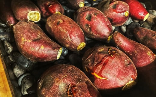 茨城県産 冷やし 焼き芋 約1.1kg ( 約380g × 3パック ) 【焼き芋 冷やし焼き芋 芋 スイーツ さつまいも シルクスイート 紅はるか おまかせ】