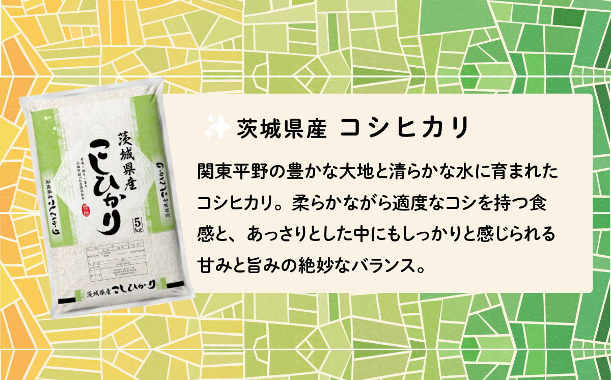 【6月発送】コシヒカリ 5kg (5kg x 1袋) 令和7年産 白米 精米 茨城県 下妻市 お米 米