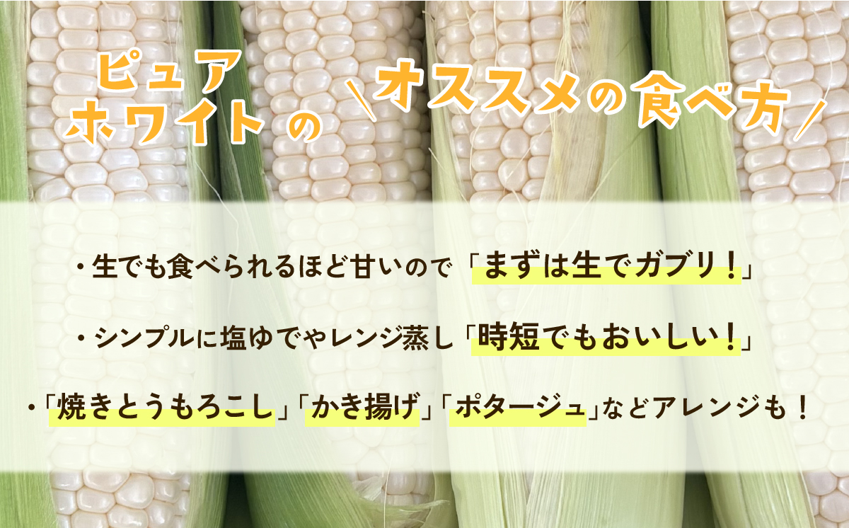 【先行予約】【訳あり】下妻産朝採りとうもろこし（ピュアホワイト）約6kg【2026年6月下旬～7月下旬ころ順次発送予定】【 とうもろこし とうきび トウモロコシ 甘い スイーツ デザート ピュアホワイト コーン 人気 野菜 新鮮 おすすめ 】