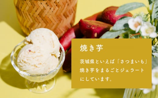 選べる特製ジェラート 1L x 2個 [焼き芋] [焼き芋] 【 アイス ジェラート アイスクリーム デザート スイーツ 組み合わせ自由 業務用 バルク 】