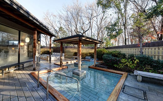 茨城県しもつま温泉「ビアスパークしもつま」温泉入浴券 2枚【 温泉 日帰り湯 チケット 券 利用券 利用チケット ホテル 地ビール 】