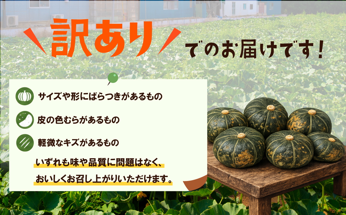 【訳あり】かぼちゃ くり大将 約5kg