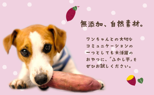 ãç¡æ·»å ãéžã¹ã ãããçš ãµããè å°è çŽ
ã¯ãã 4kg ã ãããããŒã ããã€ ç¡æ·»å ããã¯ããŒã ãããçš ãã€ãŸãã ãã«ã·ãŒ ç¬ ã