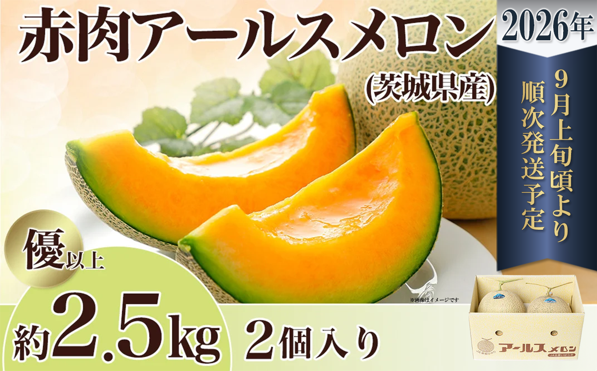 【先行予約】茨城県産アールスメロン「赤」約2.5kg（2個）【2026年9月上旬～10月上旬ごろ発送予定】【 国産メロン 茨城県産メロン メロンの王様 高級メロン めろん  果物 くだもの フルーツ 季節限定 人気 贈り物 お取り寄せ プレゼント 厳選 デザート マスクメロン ムスク マスク 】