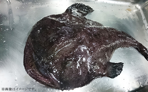 あんこう鍋セット刺身付き（あんこう切り身1kg＋自家製あんこう鍋スープ500cc＋あんこう刺身100g）【 アンコウ 鮟鱇 鍋セット スープ 海鮮 魚介 魚 人気 おすすめ 茨城県 】