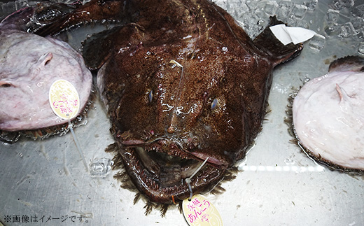 あんこう鍋セット刺身付き（あんこう切り身1kg＋自家製あんこう鍋スープ500cc＋あんこう刺身100g）【 アンコウ 鮟鱇 鍋セット スープ 海鮮 魚介 魚 人気 おすすめ 茨城県 】