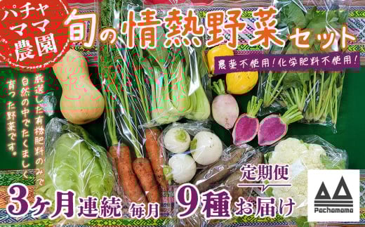 【3ヶ月連続お届け】農園自慢の情熱野菜セット（9品）【 野菜 詰め合わせ お任せ 季節物 定期便 セット 山芋 パセリ わさび菜 ポップコーン かぶ 人参 里芋 たまねぎ 玉ねぎ ルッコラ ほうれん草 春菊 大根 芽キャベツ レタス じゃがいも さつまいも とうもろこし そら豆 枝豆 パクチー ビーツ ほうれん草 キャベツ ピーマン なすトマト かぼちゃ 】