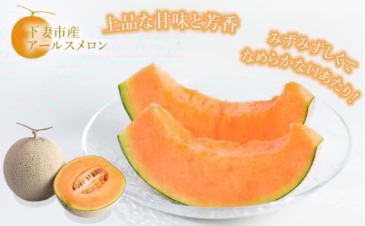 【先行予約】茨城県産アールスメロン「赤」約7.5kg（3～6個）【2026年9月上旬～10月上旬ごろ発送予定】【 国産メロン 茨城県産メロン メロンの王様 高級メロン めろん  果物 くだもの フルーツ 季節限定 人気 贈り物 お取り寄せ プレゼント 厳選 デザート マスクメロン ムスク マスク 】