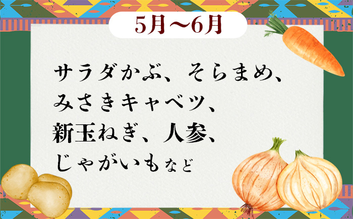 【 訳あり 】 お楽しみ野菜セット （ 7袋 ）【 フードロス対策 】【 野菜 詰め合わせ お任せ 訳あり フードロス 季節物 セット 山芋 パセリ かぶ 人参 里芋 たまねぎ 玉ねぎ ルッコラ ほうれん草 春菊 大根 芽キャベツ レタス じゃがいも さつまいも とうもろこし そら豆 枝豆 パクチー ビーツ ほうれん草 キャベツ ピーマン なすトマト かぼちゃ 】