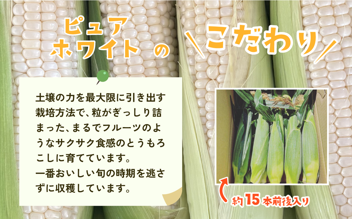 ãå
è¡äºçŽãäžåŠ»ç£ææ¡ããšãããããçŽ6kgïŒãã¥ã¢ãã¯ã€ãïŒãå
è¡äºçŽïŒ2026幎6æäžæ¬ïœé 次çºéäºå®ãã ãšããããã ããŠã¢ãã³ã· ãšããã³ çã ã¹ã€ãŒã ãã¶ãŒã ã³ãŒã³ äººæ° éè æ°é®® ãããã ã