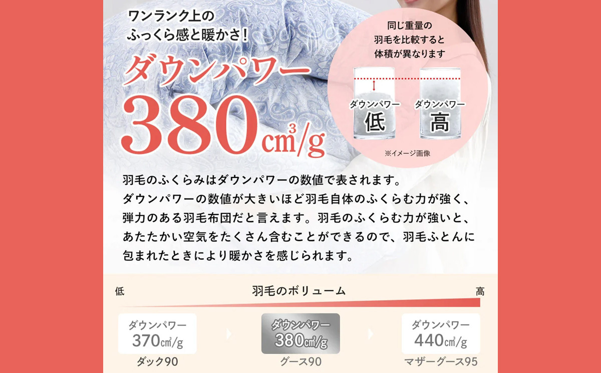 昭和西川 CMD 羽毛掛け布団 ブルー シングルロング ドイツ産グース90％ 380ダウンパワー【 昭和西川 選べる ブルー シングル ロング グース 羽毛掛けふとん 羽毛ふとん 羽毛布団 掛け布団 CMD コンフォート マイスター ダウン 上質 良質 保温 温かい 心地よい 肌ざわり フィット感 ふっくら ポリジン加工 抗菌 防臭 綿100％ 寝具 布団 安心 品質 厳選 眠り おうち時間 リラックス 至極 ライフスタイル 】
