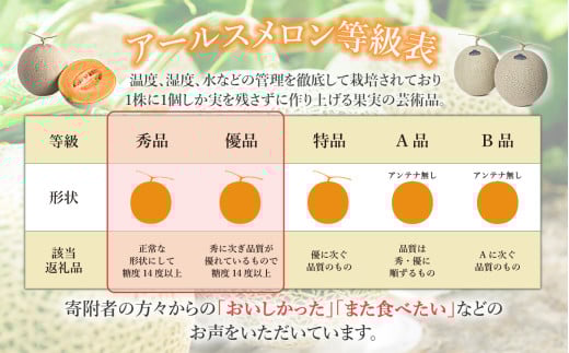 【先行予約】茨城県産アールスメロン「赤」約2.5kg（2個）【2026年9月上旬～10月上旬ごろ発送予定】【 国産メロン 茨城県産メロン メロンの王様 高級メロン めろん  果物 くだもの フルーツ 季節限定 人気 贈り物 お取り寄せ プレゼント 厳選 デザート マスクメロン ムスク マスク 】